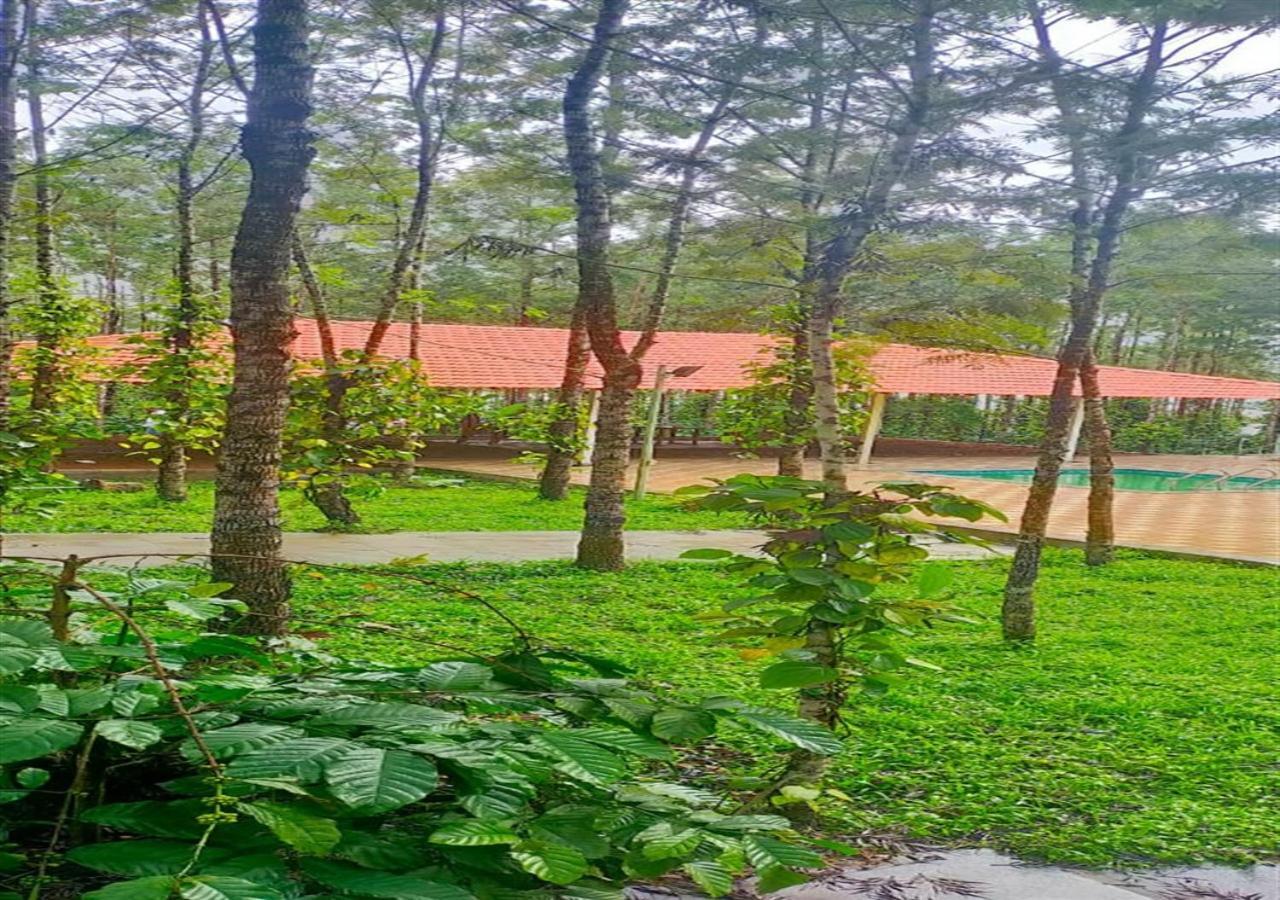Water View Holiday Retreat Sakleshpur Ngoại thất bức ảnh